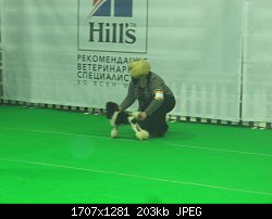 Нажмите на изображение для увеличения
Название: IMG_5128.jpg
Просмотров: 426
Размер:	203.0 Кб
ID:	65547