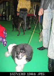 Нажмите на изображение для увеличения
Название: IMG_5122.jpg
Просмотров: 406
Размер:	194.1 Кб
ID:	65548