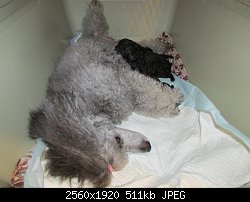 Нажмите на изображение для увеличения
Название: IMG_0020.jpg
Просмотров: 270
Размер:	511.1 Кб
ID:	66225