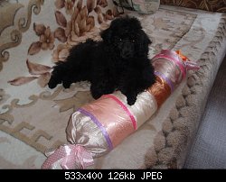 Нажмите на изображение для увеличения
Название: P1283079.JPG
Просмотров: 371
Размер:	125.6 Кб
ID:	66492