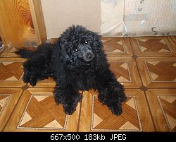 Нажмите на изображение для увеличения
Название: P1273054.JPG
Просмотров: 381
Размер:	183.3 Кб
ID:	66494