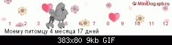 Нажмите на изображение для увеличения
Название: line_oo5_beg_poodle1_time_1347825600_col_000000_text_6363656565356563663332306566653866326565656.gif
Просмотров: 177
Размер:	8.9 Кб
ID:	66506