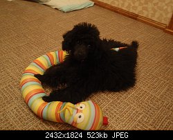 Нажмите на изображение для увеличения
Название: P1293085.jpg
Просмотров: 246
Размер:	523.3 Кб
ID:	66516
