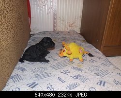 Нажмите на изображение для увеличения
Название: XDaoSXYc.jpg
Просмотров: 167
Размер:	232.1 Кб
ID:	66560