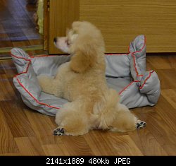 Нажмите на изображение для увеличения
Название: DSC_0951.jpg
Просмотров: 196
Размер:	480.3 Кб
ID:	66581
