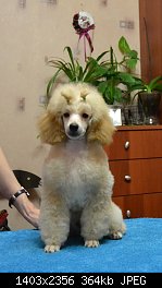 Нажмите на изображение для увеличения
Название: DSC_1016.jpg
Просмотров: 232
Размер:	363.9 Кб
ID:	66583