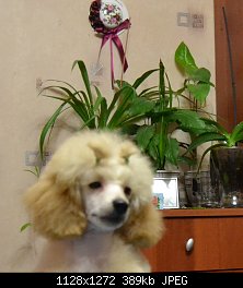 Нажмите на изображение для увеличения
Название: DSC_1017.JPG
Просмотров: 192
Размер:	388.9 Кб
ID:	66589