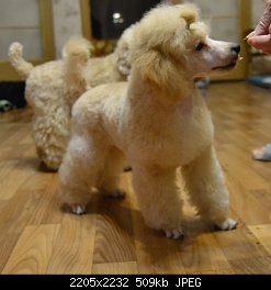 Нажмите на изображение для увеличения
Название: DSC_0962.jpg
Просмотров: 199
Размер:	509.0 Кб
ID:	66590