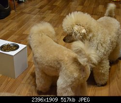 Нажмите на изображение для увеличения
Название: DSC_0941.jpg
Просмотров: 265
Размер:	516.5 Кб
ID:	66600
