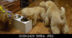 Нажмите на изображение для увеличения
Название: DSC_0944.jpg
Просмотров: 217
Размер:	545.0 Кб
ID:	66602