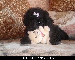 Нажмите на изображение для увеличения
Название: 0_aa2a7_8bc375f4_XL.jpeg
Просмотров: 314
Размер:	154.8 Кб
ID:	67045