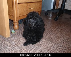 Нажмите на изображение для увеличения
Название: 0_aa2bc_8cdd48c8_XL.jpeg
Просмотров: 287
Размер:	208.3 Кб
ID:	67048