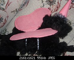 Нажмите на изображение для увеличения
Название: PC313012.jpg
Просмотров: 293
Размер:	550.6 Кб
ID:	67063
