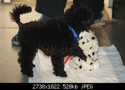 Нажмите на изображение для увеличения
Название: DSC00013.jpg
Просмотров: 179
Размер:	528.3 Кб
ID:	67457
