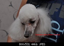Нажмите на изображение для увеличения
Название: Копия DSC_0468.JPG
Просмотров: 555
Размер:	43.5 Кб
ID:	68471