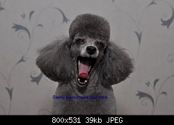 Нажмите на изображение для увеличения
Название: DSC_0369.JPG
Просмотров: 303
Размер:	38.9 Кб
ID:	68475