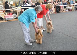 Нажмите на изображение для увеличения
Название: DSC_0346.jpg
Просмотров: 156
Размер:	258.7 Кб
ID:	68728