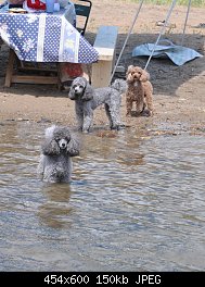 Нажмите на изображение для увеличения
Название: DSC_0482.jpg
Просмотров: 232
Размер:	150.4 Кб
ID:	69039