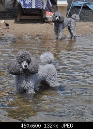 Нажмите на изображение для увеличения
Название: DSC_0484.jpg
Просмотров: 211
Размер:	132.0 Кб
ID:	69040