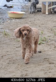 Нажмите на изображение для увеличения
Название: DSC_0395.jpg
Просмотров: 226
Размер:	127.4 Кб
ID:	69044