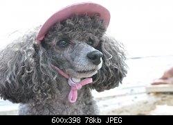 Нажмите на изображение для увеличения
Название: DSC_0498.JPG
Просмотров: 220
Размер:	78.5 Кб
ID:	69045