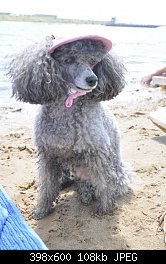 Нажмите на изображение для увеличения
Название: DSC_0499.JPG
Просмотров: 221
Размер:	107.6 Кб
ID:	69046