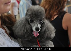 Нажмите на изображение для увеличения
Название: DSC_0364.jpg
Просмотров: 169
Размер:	108.3 Кб
ID:	69051