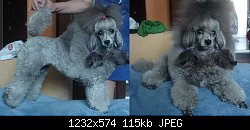 Нажмите на изображение для увеличения
Название: z_4c248edf.jpg
Просмотров: 181
Размер:	114.8 Кб
ID:	69060