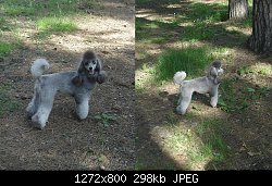 Нажмите на изображение для увеличения
Название: z_baced689.jpg
Просмотров: 202
Размер:	297.7 Кб
ID:	69061