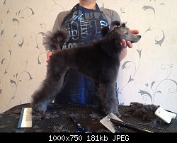 Нажмите на изображение для увеличения
Название: Форти.jpg
Просмотров: 378
Размер:	180.7 Кб
ID:	69153