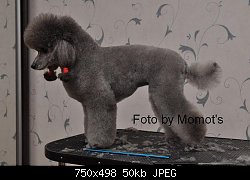 Нажмите на изображение для увеличения
Название: DSC_0148.jpg
Просмотров: 198
Размер:	50.1 Кб
ID:	69261
