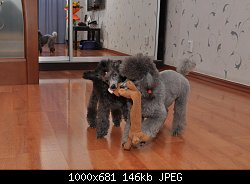 Нажмите на изображение для увеличения
Название: DSC_0175.jpg
Просмотров: 217
Размер:	145.9 Кб
ID:	69302