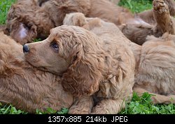 Нажмите на изображение для увеличения
Название: DSC_0175.jpg
Просмотров: 228
Размер:	213.9 Кб
ID:	69330