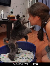Нажмите на изображение для увеличения
Название: DSC_0321.jpg
Просмотров: 180
Размер:	72.9 Кб
ID:	69381