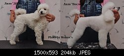 Нажмите на изображение для увеличения
Название: DSC_0251_lala.jpg
Просмотров: 457
Размер:	203.8 Кб
ID:	69396