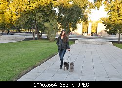 Нажмите на изображение для увеличения
Название: DSC_0392.jpg
Просмотров: 924
Размер:	282.8 Кб
ID:	69584