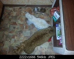 Нажмите на изображение для увеличения
Название: 2013-10-01 23.00.55.jpg
Просмотров: 240
Размер:	546.3 Кб
ID:	69690