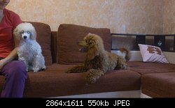 Нажмите на изображение для увеличения
Название: DSC_0250.jpg
Просмотров: 251
Размер:	550.0 Кб
ID:	69691