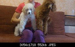 Нажмите на изображение для увеличения
Название: DSC_0255.jpg
Просмотров: 243
Размер:	551.9 Кб
ID:	69692