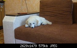 Нажмите на изображение для увеличения
Название: DSC_0257.jpg
Просмотров: 262
Размер:	574.5 Кб
ID:	69693