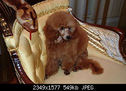 Нажмите на изображение для увеличения
Название: DSC_0180.jpg
Просмотров: 315
Размер:	549.4 Кб
ID:	69739