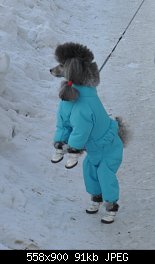 Нажмите на изображение для увеличения
Название: DSC_0824.jpg
Просмотров: 190
Размер:	91.0 Кб
ID:	70043