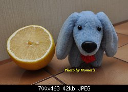 Нажмите на изображение для увеличения
Название: DSC_0622.jpg
Просмотров: 343
Размер:	42.4 Кб
ID:	70334