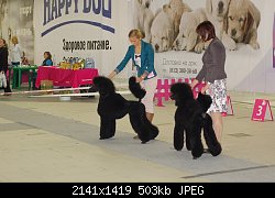Нажмите на изображение для увеличения
Название: DSC_0933-1.jpg
Просмотров: 258
Размер:	502.9 Кб
ID:	70414