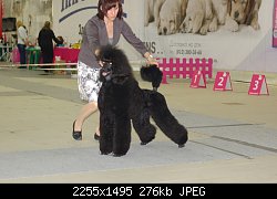 Нажмите на изображение для увеличения
Название: DSC_0931.jpg
Просмотров: 242
Размер:	275.6 Кб
ID:	70419