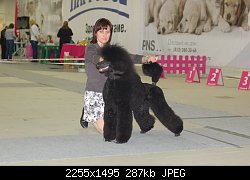 Нажмите на изображение для увеличения
Название: DSC_0932.jpg
Просмотров: 252
Размер:	286.6 Кб
ID:	70420