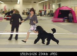 Нажмите на изображение для увеличения
Название: DSC_0930-1.jpg
Просмотров: 250
Размер:	230.4 Кб
ID:	70421