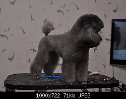 Нажмите на изображение для увеличения
Название: DSC_0640.jpg
Просмотров: 203
Размер:	71.0 Кб
ID:	70441