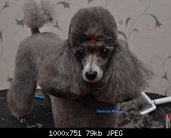 Нажмите на изображение для увеличения
Название: DSC_0644.jpg
Просмотров: 216
Размер:	79.3 Кб
ID:	70442