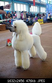 Нажмите на изображение для увеличения
Название: DSC07914.JPG
Просмотров: 209
Размер:	475.5 Кб
ID:	70649